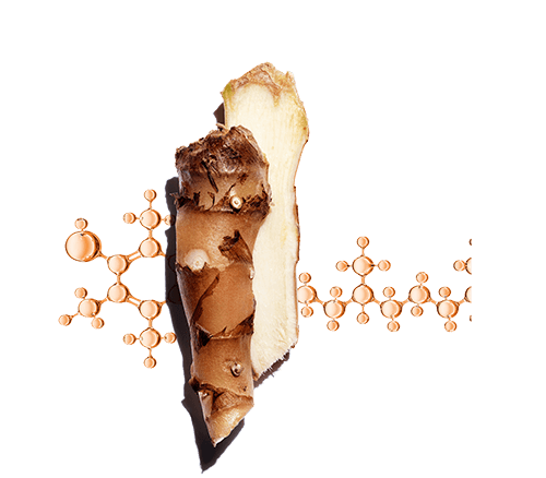 Duo aus Schmetterlingsingwer + Vitamin E zum Schutz vor oxidativem Stress, Hautalterung und dem Verlust einer strahlenden Haut